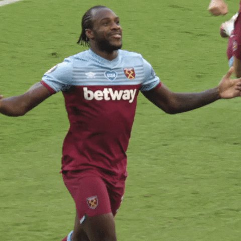 Antonio West Ham GIF by West Ham United