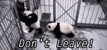 Don't Leave GIF