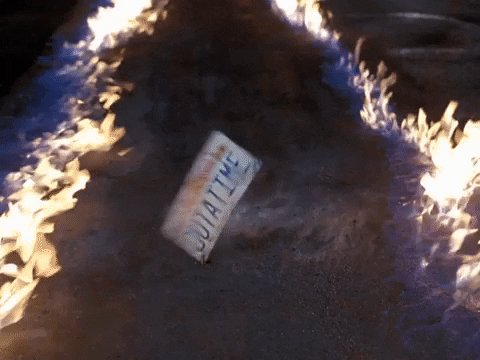 Spin License Plate GIF by B...