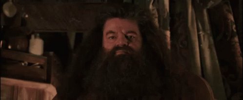 Hagrid Get Out Of My House GIF