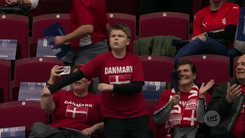 Denmark Den GIF by EHF