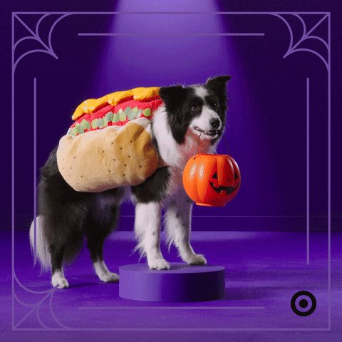 aacspca photo
