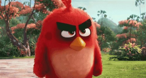 Angry Angry Birds GIF