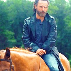 HAPPY BIRTHDAY ANDREW LINCOLN. WE MISS YOU ON TWD!  