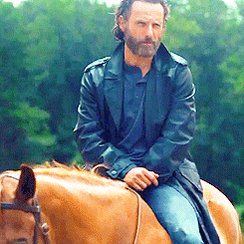 HAPPY BIRTHDAY ANDREW LINCOLN. WE MISS YOU ON TWD!  
