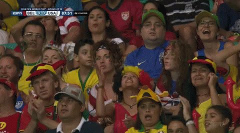 Belgium Fan GIF