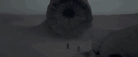 Timothee Chalamet Dune GIF by Nerdist.com