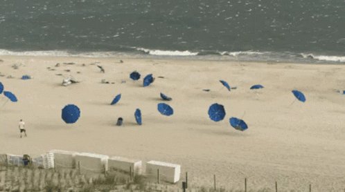 Umbrellas Beach GIF