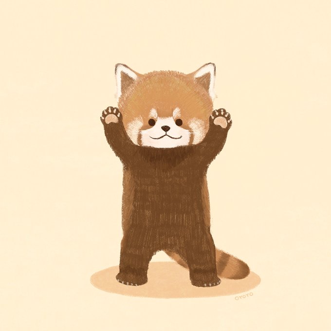 レッサーパンダの威嚇のtwitterイラスト検索結果