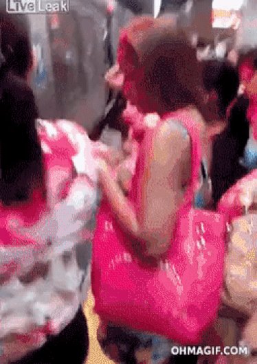 트위터, twitter - 딸플릭스
