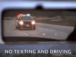Police Trouble GIF