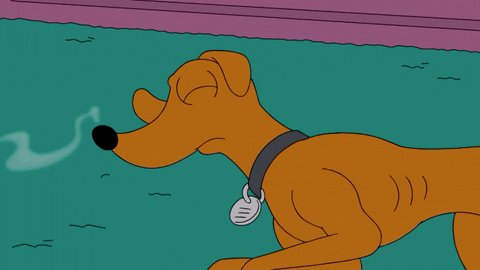 Smells Good The Simpsons GI...