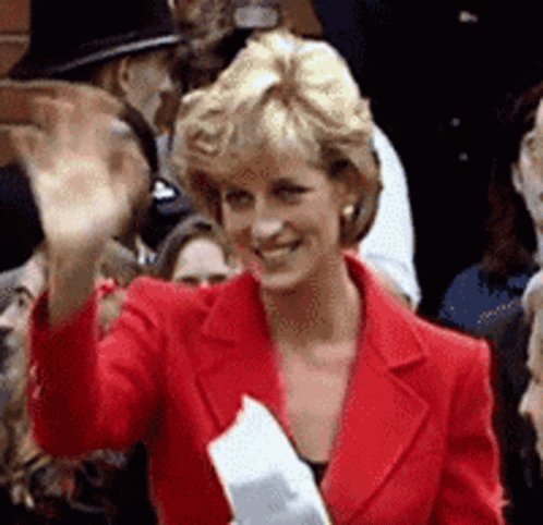 Princess Diana Hello GIF