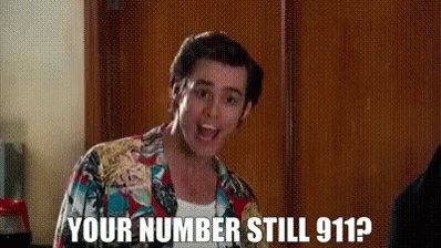 Police Cops GIF