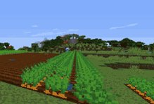 Minecraft Farm GIF