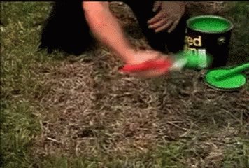 Paint Grass Lawncare GIF