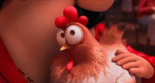 Chicken Petting GIF