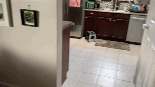 Kid Running GIF