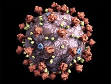 Coronavirus Sars Cov2 GIF