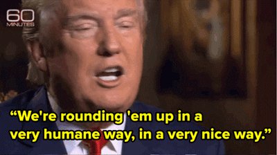 donald trump GIF
