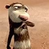 Opossum Peace GIF