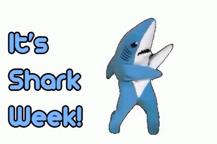 Its Shark Week GIF