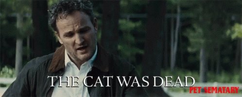 Dead Cat Dead Animal GIF