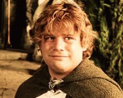 LOTR Sam GIF