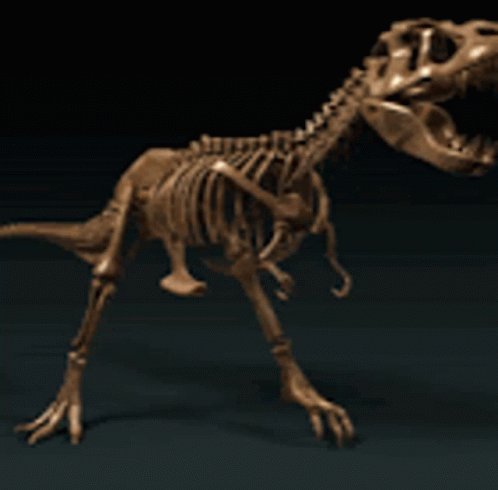 Dino Spin GIF