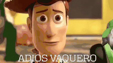 Adios Vaquero GIF