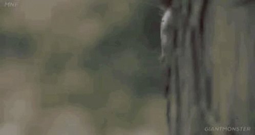 Arnie Commando GIF