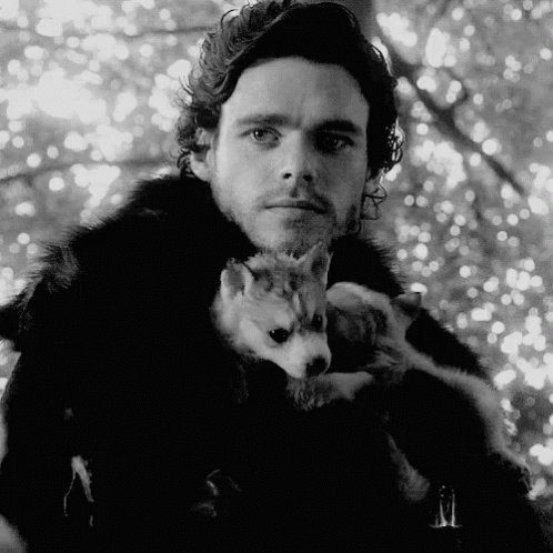 Happy birthday Richard Madden 