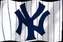 Yankees Daily GIF