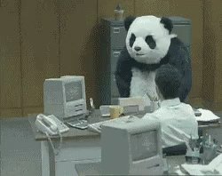 Panda Office GIF