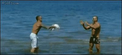 Dog Catch GIF