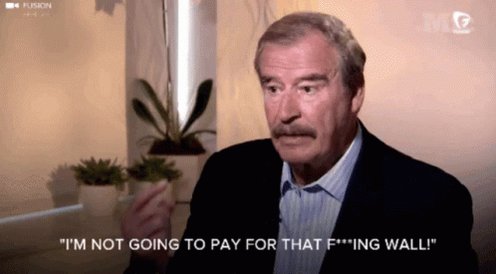 Vicentefox Mexico GIF