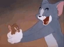 Tom And Jerry Cartoons GIF
