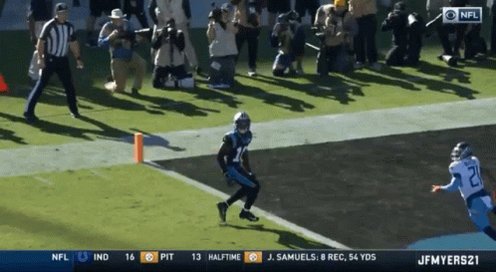 Carolina Panthers Touchdown GIF