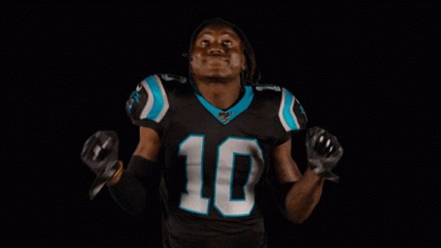 Carolina Panthers National Football League GIF