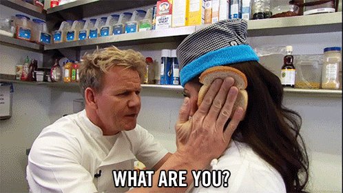 gordon idiot sandwich GIF