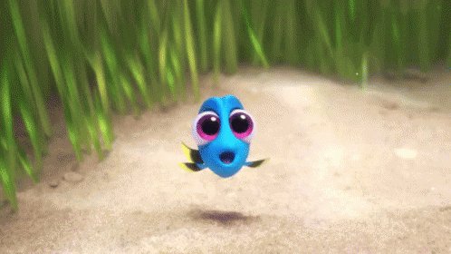 Baby Dory GIF