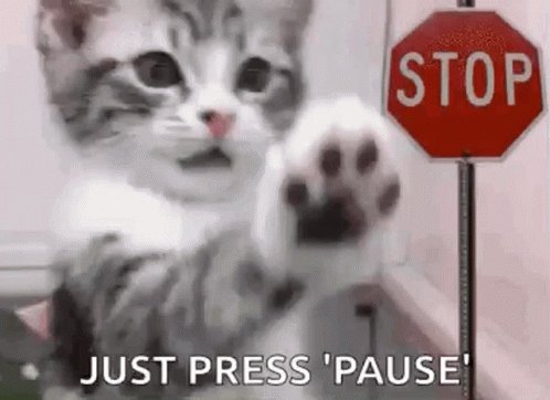 Stop Funny Animal GIF