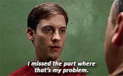 Spiderman Tobeymaguire GIF