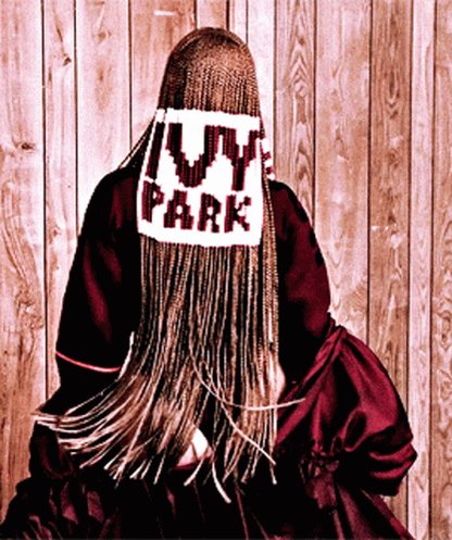 Ivy Park Beyoncé GIF