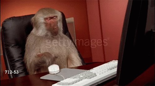 Baboon Computer GIF