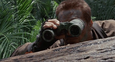 Spying Peeping Tom GIF by 20th Century Fox Home Entertainmen