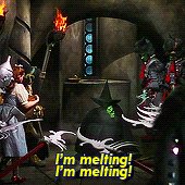 wizard of oz dorothy GIF