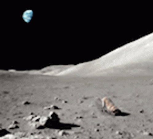 Moon Dog GIF