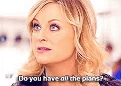 Parks And Rec Amy Poehler GIF
