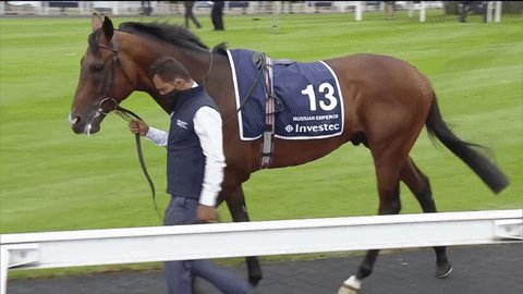 ascot ballydoyle investec contender emperor winner royal
